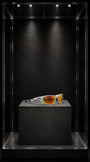 Oakley Lateralis (Seek Collection) Matte Vapor / Prizm Ruby Polarized — foto 1