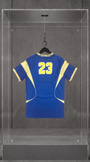 Camisa Air Jordan Brasil 23 — costas com o número 23